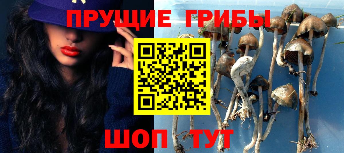 наркотики  Псилоцибиновые грибы ЛСД  Вход с VPN  Баксан 