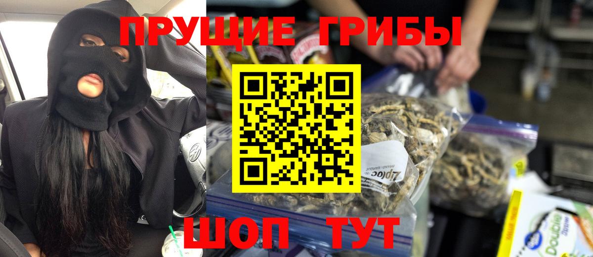 Псилоцибиновые грибы GOLDEN TEACHER Баксан